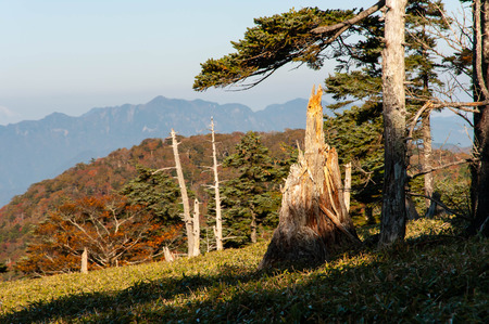 Autumnal mountains taken in the clear Odaigaharaの写真素材