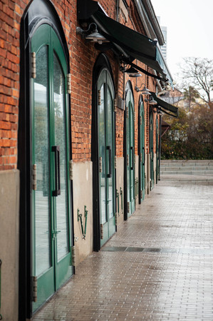 Rain wet bricks and ground and green door