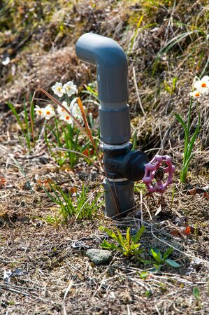 Water pipe coming out of the groundの写真素材