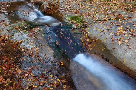 Mountain stream with beautiful water flow and fallen leavesの写真素材