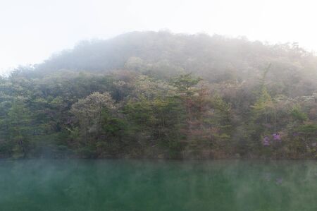 Lake with green water wrapped in morning gloryの写真素材