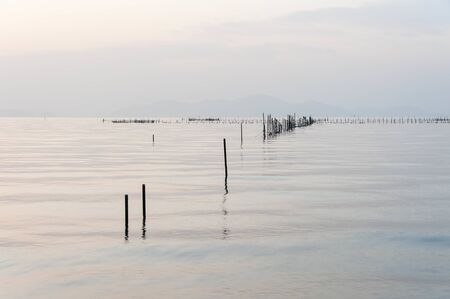 A fishery pile installed in Lake Biwa at dawnの写真素材