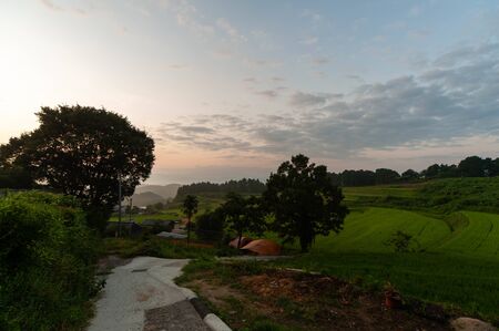 Farm road in the early morning countryside