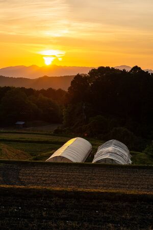 Orange sunrise and greenhouseの写真素材