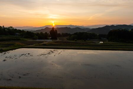Asahi and rice fields shining in orangeの写真素材