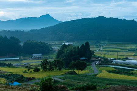 Rural area of Nara at blue dawn