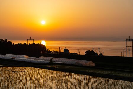 Sun rising from Lake Biwa, paddy fields and greenhouses