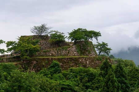 Stone wall of castle ruins covered with treesの写真素材
