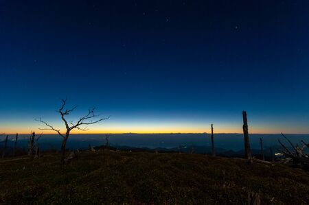 The sky at dawn, the trees in the mountains and the sea