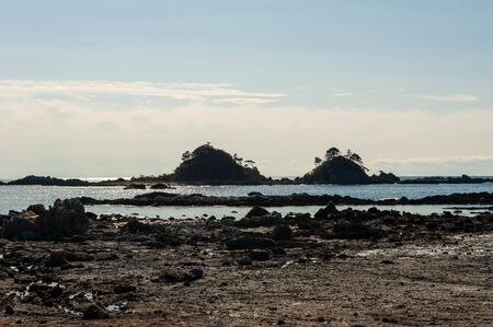 The sea, the sea shore and the rocky island of Wakayamaの写真素材