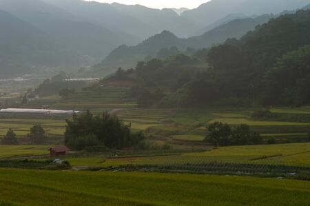 A rural morning in the mountains of Nara.の写真素材