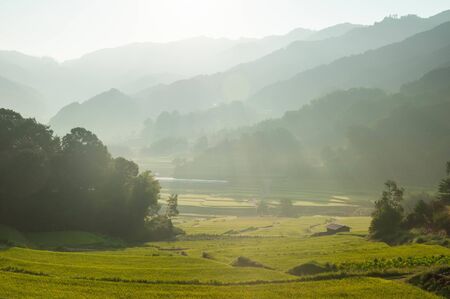 The morning sun shining into the rural areas of Naraの写真素材