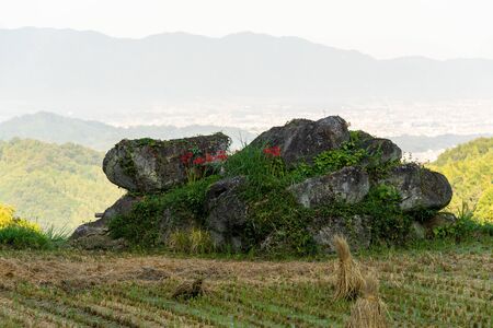 Strangely shaped rocks and crushed flowersの写真素材