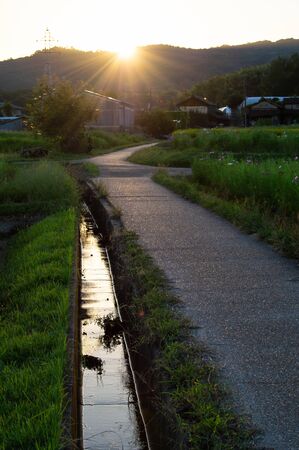 Farm roads, irrigation canals and the setting sunの写真素材