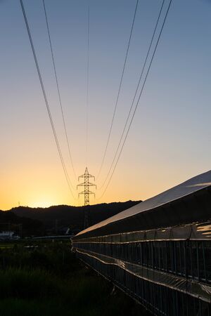 Sunset, steel tower, electric wire, and greenhouseの写真素材