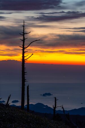 Morning sky, sea, islands and treesの写真素材
