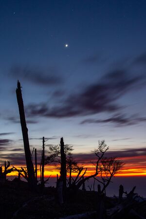 The dawn sky, flowing clouds and treesの写真素材