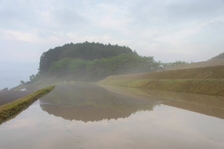 Morning mist and paddy fields and reflections in a rural mountainous areaの写真素材