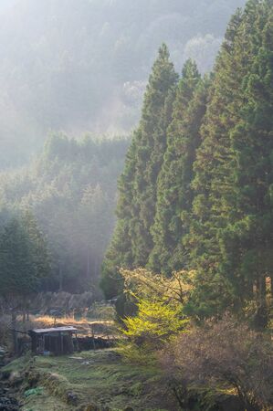 A beautiful mountain scene in the morning mistの写真素材