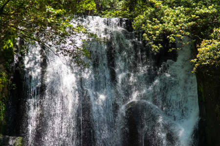 Fresh greenery and wide flowing waterfallsの写真素材