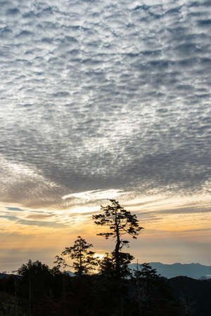 Scaled clouds and the glow of the sea and treesの写真素材