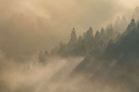 A morning mist in the mountainous region with a glow created by sunlightの写真素材