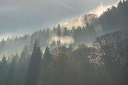 Morning mist and glow in the mountainsの写真素材