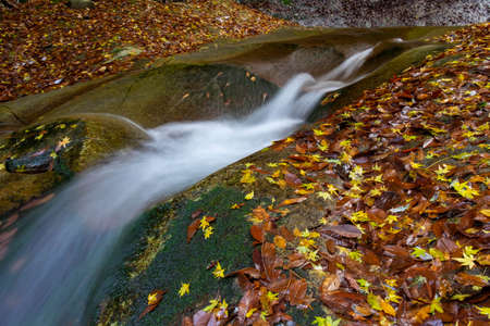 A river flowing between rocks piled with fallen leavesの写真素材