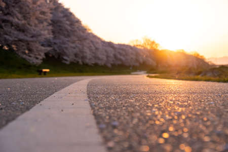 The glow of the morning sun and the asphalt road.