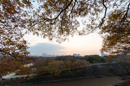 Urban landscape as seen from a framed maple leafの写真素材
