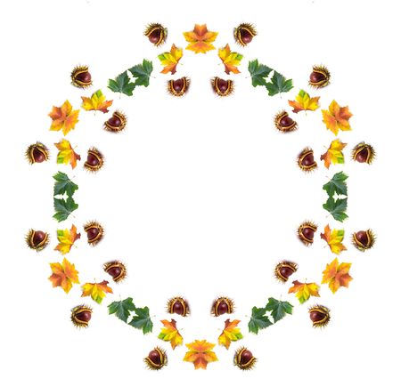 chestnuts and maple leaves mandala