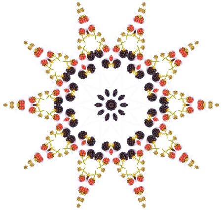 blackberry star shaped mandalaの写真素材