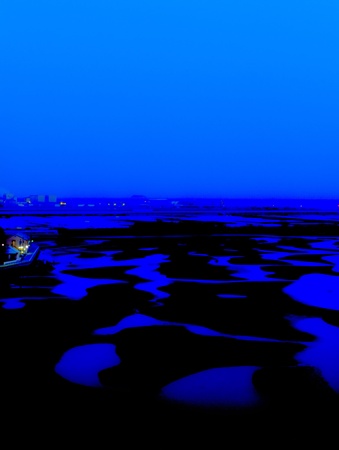 Tidal flat in nightの写真素材