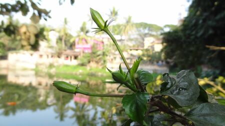 Green Water and Constructionの写真素材