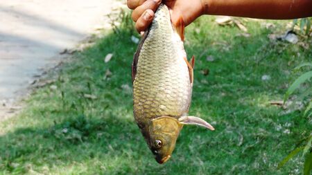 Fish hanging from hand 