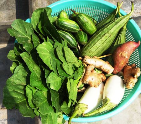 fresh vegetables in a basketの写真素材