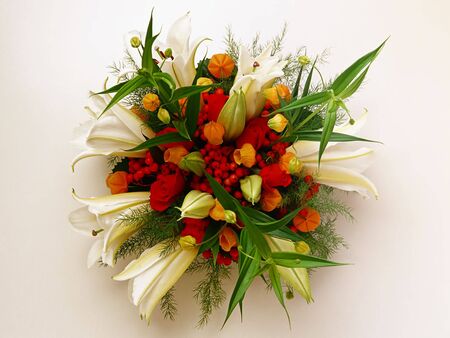 Flowerの写真素材