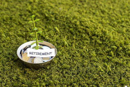 plant growing out of algeria coins in silver bowl ,money saving for retirementの写真素材