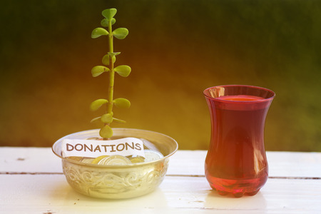 plant growing out of algeria coins in silver bowl donations money saving concept and drinking an arabic teaの写真素材