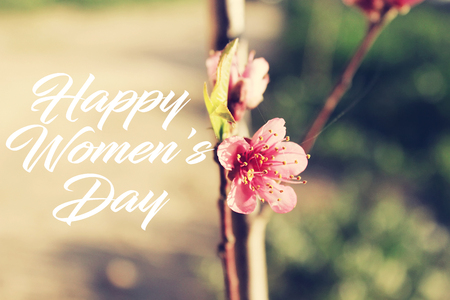 happy women's day concept with pink beautiful flowerの写真素材