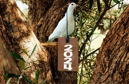 white pigeon hanging tag with with 2024, new year concept through olives treeの写真素材