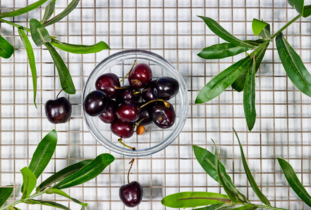 Branch with fresh green Ruscus leaves and cherry fruit bowl on fence background with copy space