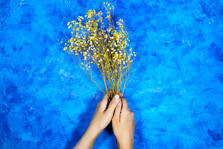 Woman hands holding a bouquet of Yellow and white baby's breath, gypsophila dry flowers on blue grunge background. flat lay, top viewの写真素材
