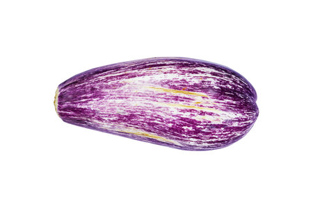 white and purple aubergine eggplant isolated on white. Eggplant Clipping Path. Quality photo for your projectの写真素材