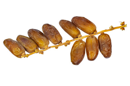 Algeria branch fresh dates isolated on white background. Package design elements with clipping pathの写真素材