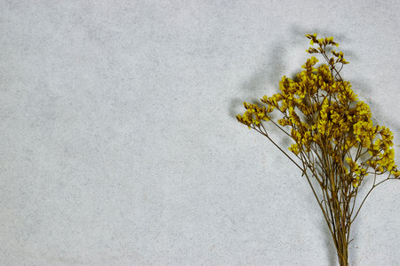 Yellow baby's breath, gypsophila dry flowers on gray grunge background. flat lay, top view, copy spaceの写真素材
