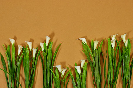 Calla lilies flowers isolated on brown backgroundの写真素材