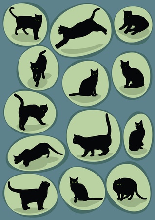 13 black catsのイラスト素材