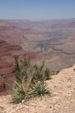 Grand canyon national park, usa の写真素材