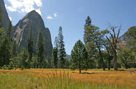 Yosemite National Park, California, USA の写真素材